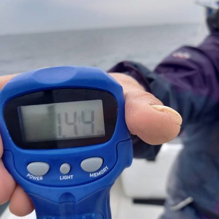 フィッシングボートACE(エース) 釣果