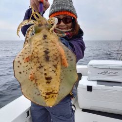 フィッシングボートACE(エース) 釣果