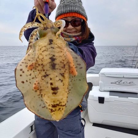 フィッシングボートACE(エース) 釣果