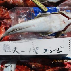 まとばや 釣果