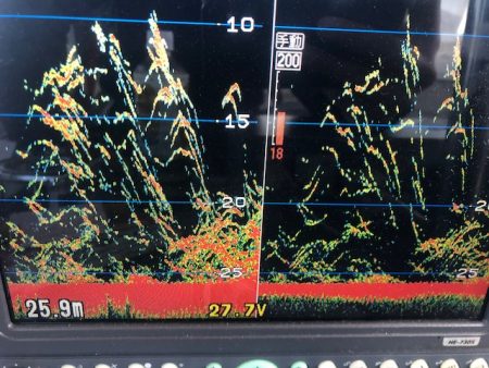 深川　吉野屋 釣果