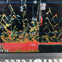 深川 吉野屋 釣果