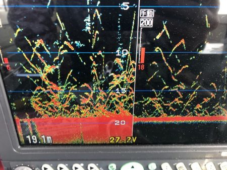 深川 吉野屋 釣果