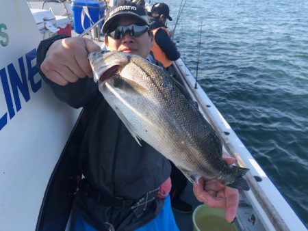 深川 吉野屋 釣果