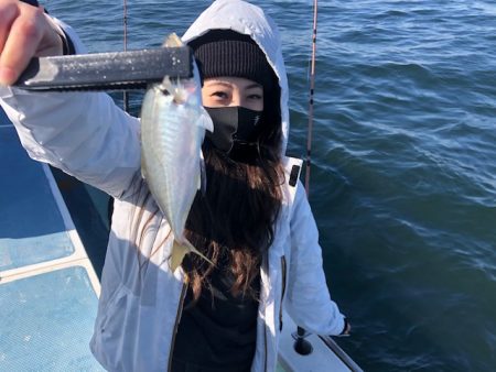 深川 吉野屋 釣果