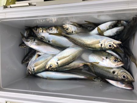 深川 吉野屋 釣果