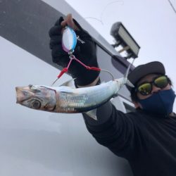 武蔵丸 釣果