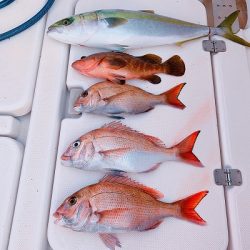 フィシングボートAir(エアー) 釣果