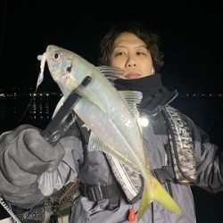 フィシングボートAir(エアー) 釣果