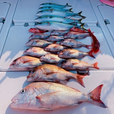 フィシングボートAir(エアー) 釣果