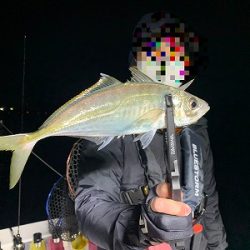 フィシングボートAir(エアー) 釣果