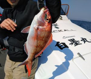 白墨丸 釣果