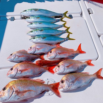 フィシングボートAir(エアー) 釣果