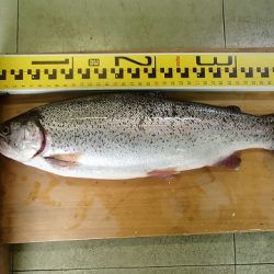 志高湖フィッシング 釣果