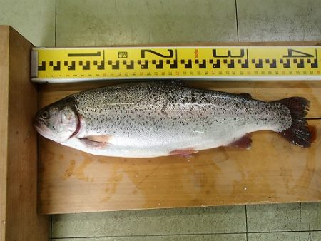 志高湖フィッシング 釣果