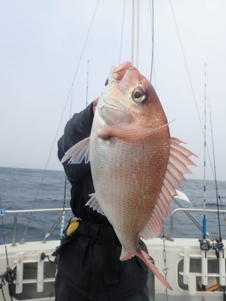 Aquanaut(アクアノート) 釣果