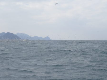 Aquanaut（アクアノート） 釣果