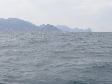 Aquanaut（アクアノート） 釣果