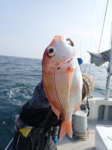 Aquanaut(アクアノート) 釣果