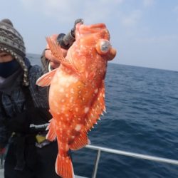 Aquanaut(アクアノート) 釣果