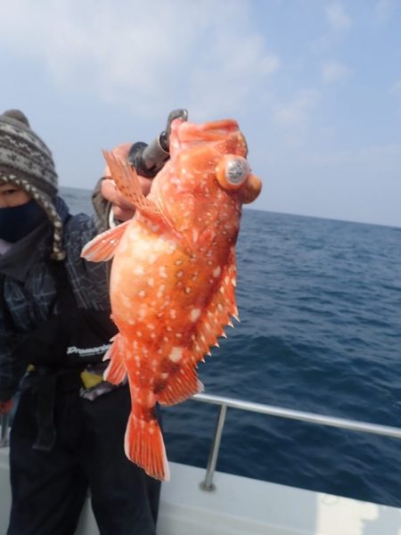 Aquanaut(アクアノート) 釣果