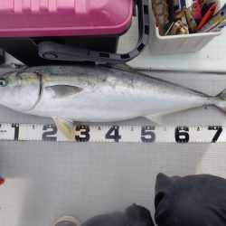 Aquanaut（アクアノート） 釣果