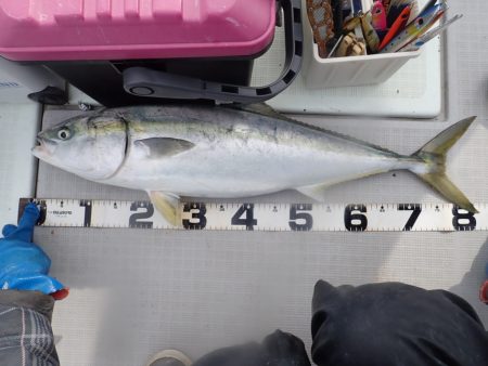 Aquanaut（アクアノート） 釣果