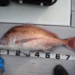 Aquanaut（アクアノート） 釣果