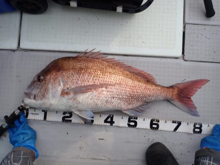 Aquanaut（アクアノート） 釣果