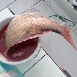 Aquanaut（アクアノート） 釣果