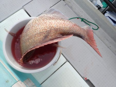 Aquanaut（アクアノート） 釣果