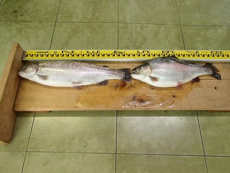 志高湖フィッシング 釣果