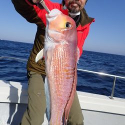 Aquanaut(アクアノート) 釣果