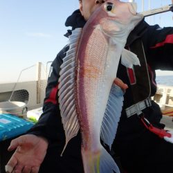 Aquanaut(アクアノート) 釣果