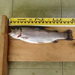 志高湖フィッシング 釣果