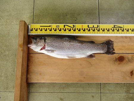 志高湖フィッシング 釣果