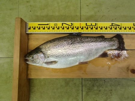 志高湖フィッシング 釣果