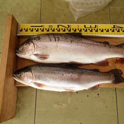 志高湖フィッシング 釣果