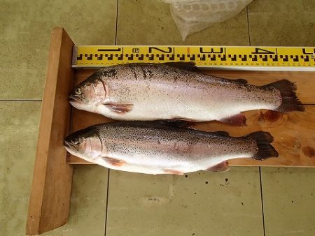 志高湖フィッシング 釣果