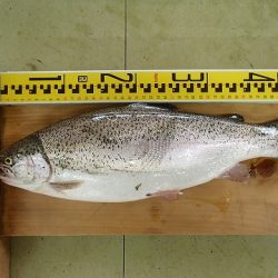 志高湖フィッシング 釣果