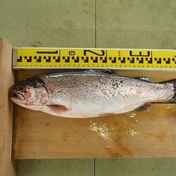 志高湖フィッシング 釣果