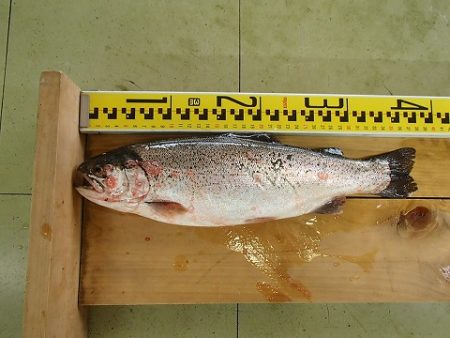 志高湖フィッシング 釣果