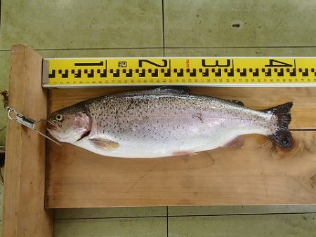 志高湖フィッシング 釣果