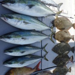 磯部釣船 直栄丸 釣果