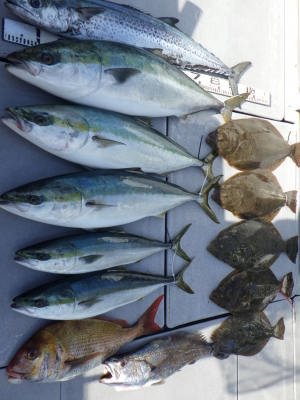 磯部釣船 直栄丸 釣果