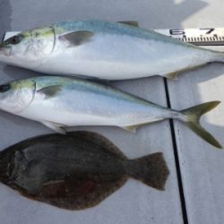 磯部釣船 直栄丸 釣果