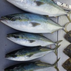 磯部釣船 直栄丸 釣果