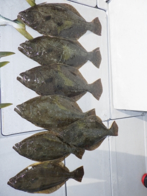 磯部釣船 直栄丸 釣果