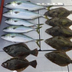 磯部釣船 直栄丸 釣果