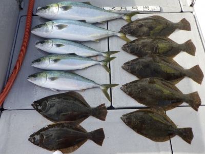 磯部釣船 直栄丸 釣果